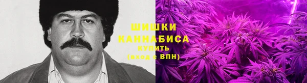 гидра Бронницы