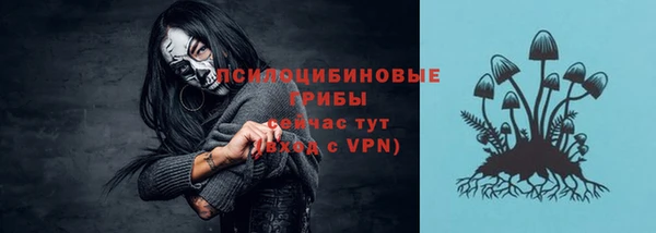 дживик Володарск