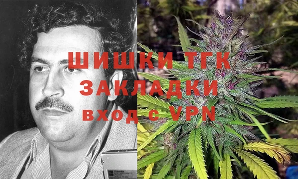 гидра Бронницы