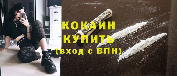 гидра Бронницы